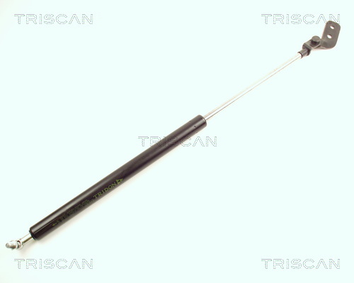 TRISCAN Gasfeder, Koffer-/Laderaum
