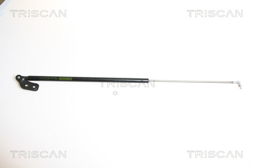 TRISCAN Gasfeder, Koffer-/Laderaum