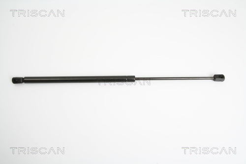 TRISCAN Gasfeder, Koffer-/Laderaum