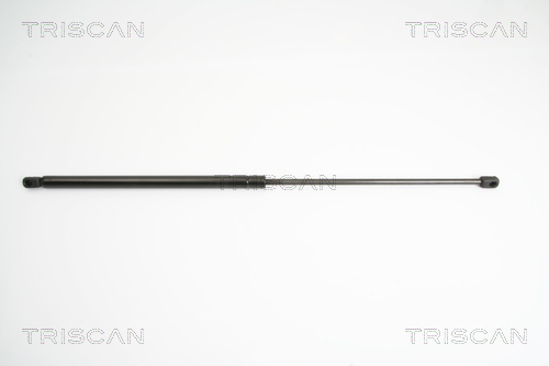 TRISCAN Gasfeder, Koffer-/Laderaum