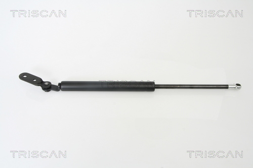 TRISCAN Gasfeder, Koffer-/Laderaum