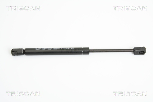 TRISCAN Gasfeder, Koffer-/Laderaum