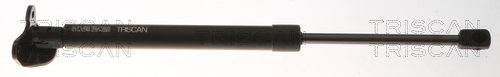 TRISCAN Gasfeder, Koffer-/Laderaum