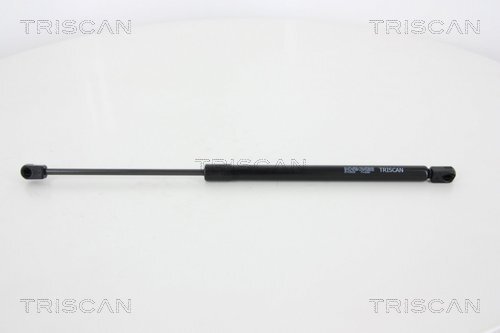 TRISCAN Gasfeder, Koffer-/Laderaum