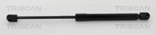 TRISCAN Gasfeder, Koffer-/Laderaum