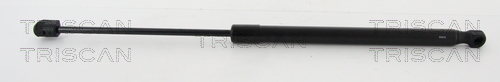 TRISCAN Gasfeder, Koffer-/Laderaum