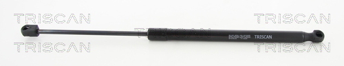 TRISCAN Gasfeder, Koffer-/Laderaum