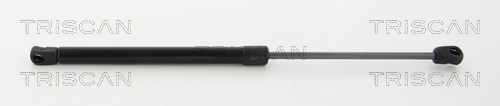 TRISCAN Gasfeder, Koffer-/Laderaum