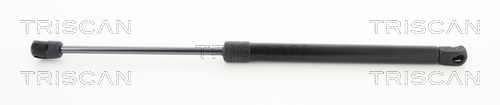 TRISCAN Gasfeder, Koffer-/Laderaum