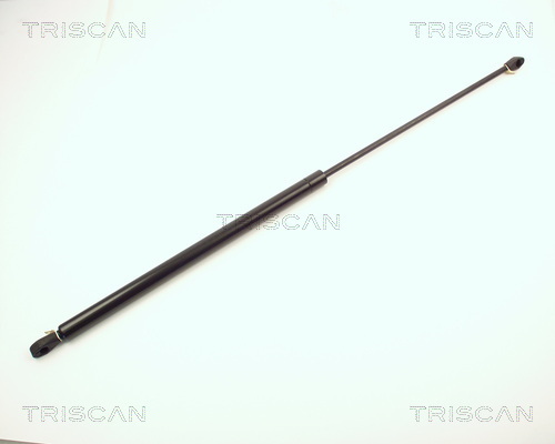 TRISCAN Gasfeder, Koffer-/Laderaum