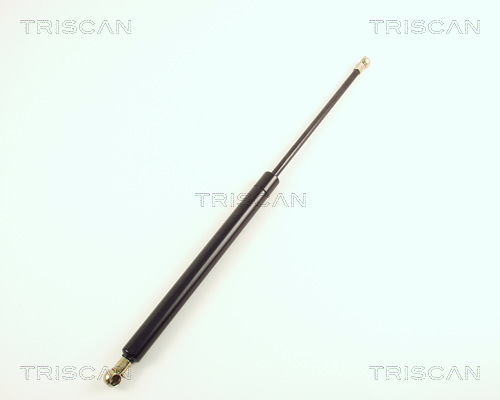 TRISCAN Gasfeder, Koffer-/Laderaum