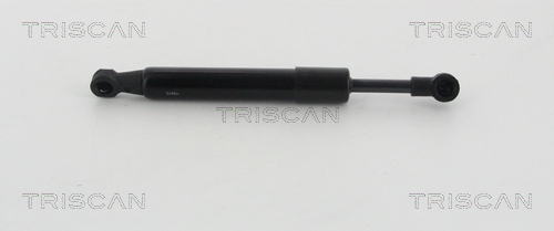 TRISCAN Gasfeder, Koffer-/Laderaum