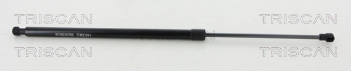 TRISCAN Gasfeder, Koffer-/Laderaum