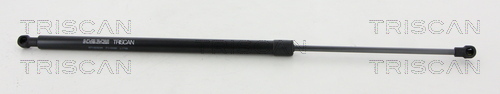 TRISCAN Gasfeder, Koffer-/Laderaum