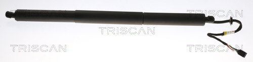 TRISCAN Gasfeder, Koffer-/Laderaum
