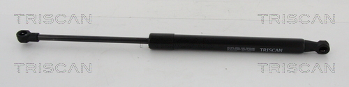 TRISCAN Gasfeder, Koffer-/Laderaum