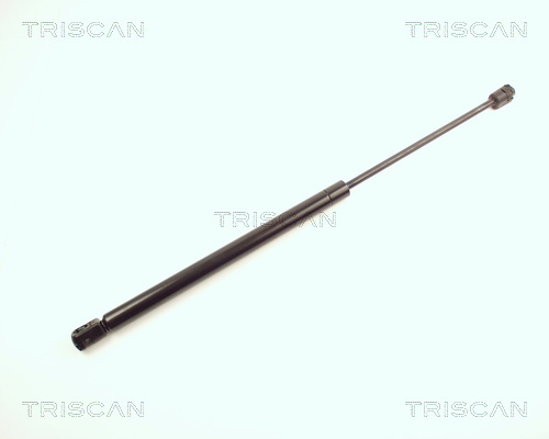 TRISCAN Gasfeder, Koffer-/Laderaum