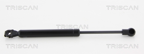 TRISCAN Gasfeder, Koffer-/Laderaum