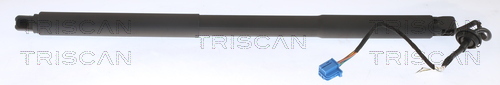 TRISCAN Gasfeder, Koffer-/Laderaum