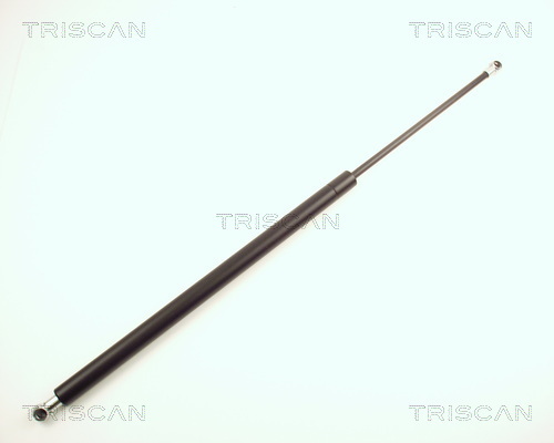 TRISCAN Gasfeder, Koffer-/Laderaum
