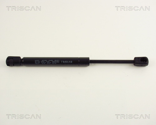 TRISCAN Gasfeder, Koffer-/Laderaum