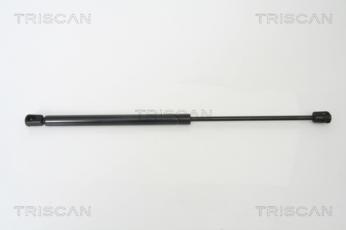 TRISCAN Gasfeder, Koffer-/Laderaum