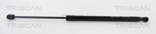 TRISCAN Gasfeder, Koffer-/Laderaum