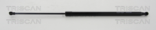 TRISCAN Gasfeder, Koffer-/Laderaum