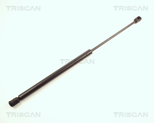 TRISCAN Gasfeder, Koffer-/Laderaum