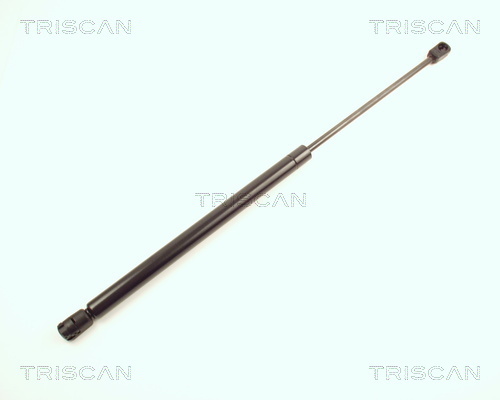 TRISCAN Gasfeder, Koffer-/Laderaum