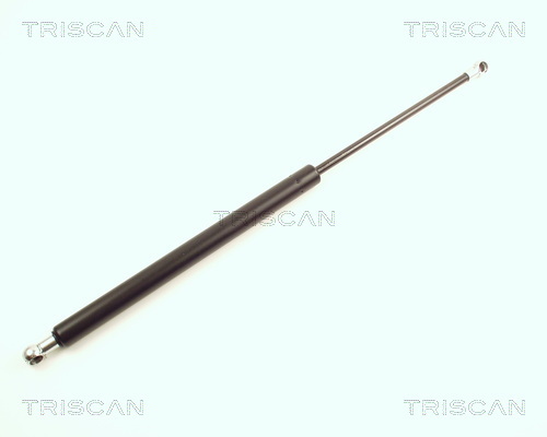 TRISCAN Gasfeder, Koffer-/Laderaum