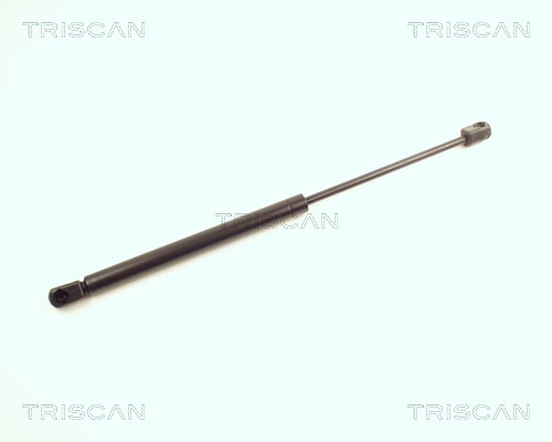 TRISCAN Gasfeder, Koffer-/Laderaum
