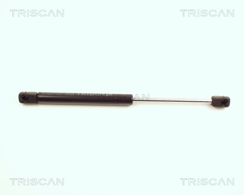 TRISCAN Gasfeder, Koffer-/Laderaum