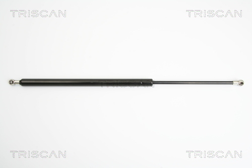 TRISCAN Gasfeder, Koffer-/Laderaum