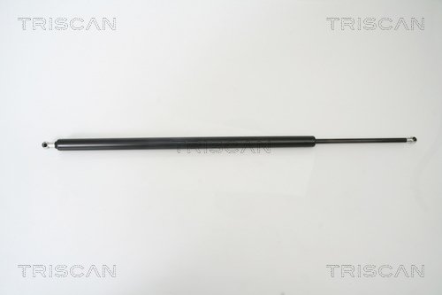 TRISCAN Gasfeder, Koffer-/Laderaum