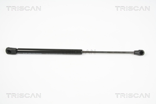 TRISCAN Gasfeder, Heckscheibe