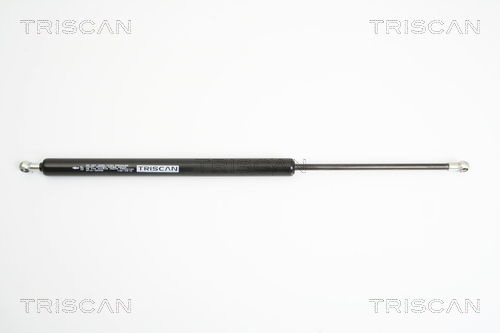 TRISCAN Gasfeder, Koffer-/Laderaum