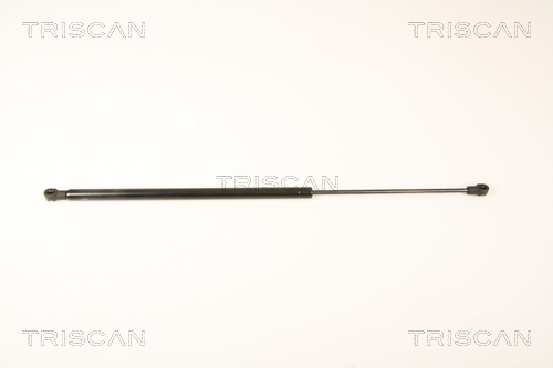 TRISCAN Gasfeder, Heckscheibe