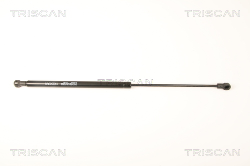 TRISCAN Gasfeder, Heckscheibe