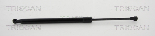 TRISCAN Gasfeder, Koffer-/Laderaum
