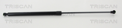 TRISCAN Gasfeder, Koffer-/Laderaum