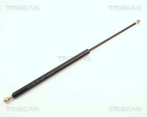 TRISCAN Gasfeder, Koffer-/Laderaum