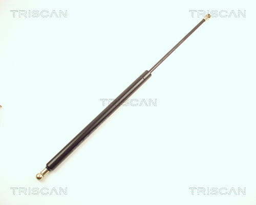 TRISCAN Gasfeder, Koffer-/Laderaum