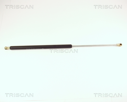 TRISCAN Gasfeder, Koffer-/Laderaum