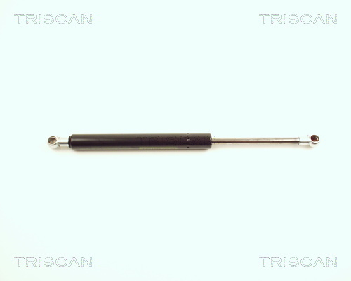 TRISCAN Gasfeder, Koffer-/Laderaum