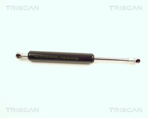 TRISCAN Gasfeder, Koffer-/Laderaum