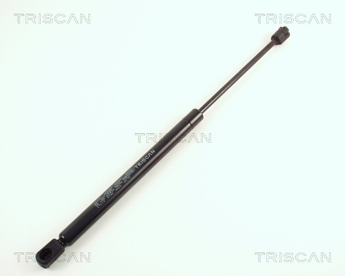 TRISCAN Gasfeder, Koffer-/Laderaum