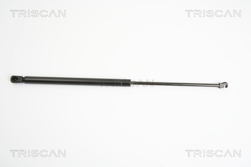 TRISCAN Gasfeder, Koffer-/Laderaum