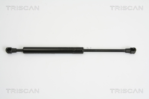 TRISCAN Gasfeder, Koffer-/Laderaum