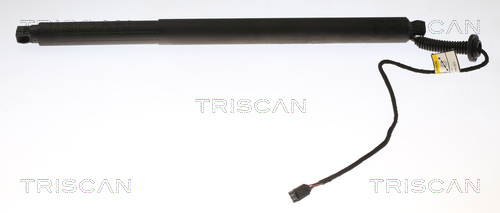 TRISCAN Gasfeder, Koffer-/Laderaum